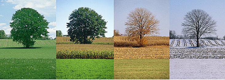 索尼正式回应前Bungie总监关于不当解雇及诽谤的诉讼